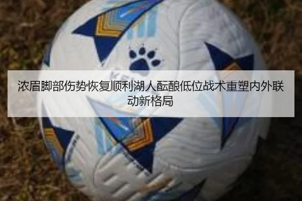 浓眉脚部伤势恢复顺利湖人酝酿低位战术重塑内外联动新格局